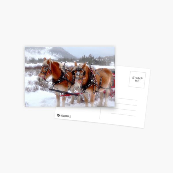 Item preview, Jingle Bells... designed and sold by Danny Key.