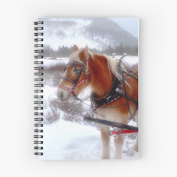 Item preview, Jingle Bells... designed and sold by Danny Key.