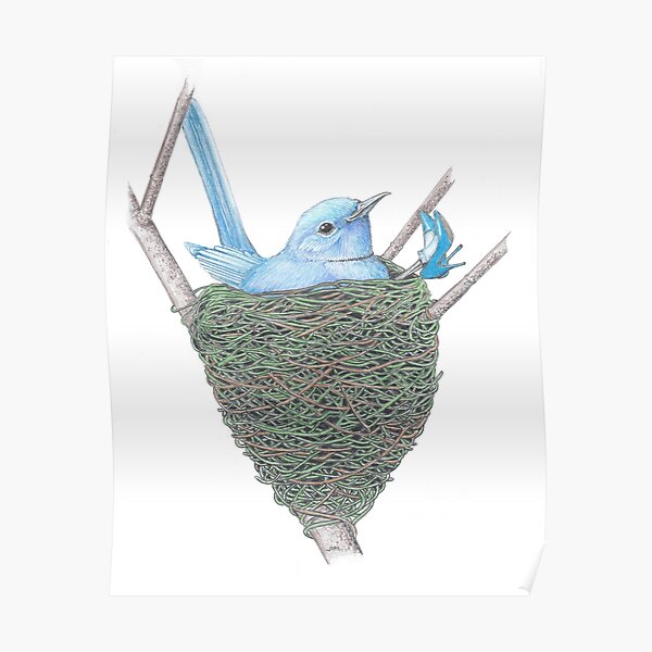 Pale Blue Flycatcher reclining in high heels Poster