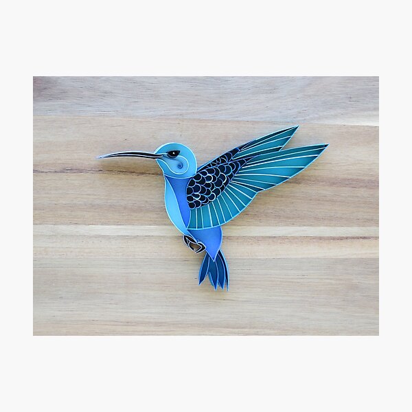 Blue Hummingbird on wood background - Eric Photographic Print