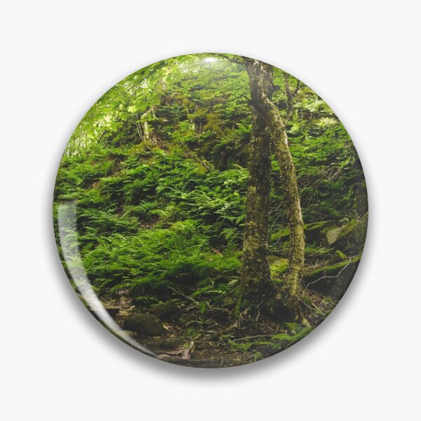 Item preview, Green trees in the forest designed and sold by emmarsheehan.