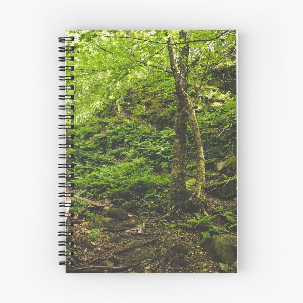 Item preview, Green trees in the forest designed and sold by emmarsheehan.