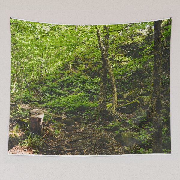 Item preview, Green trees in the forest designed and sold by emmarsheehan.