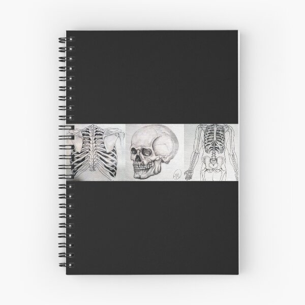Item preview, Series of Anatomy Illustrations designed and sold by MVanHyll.