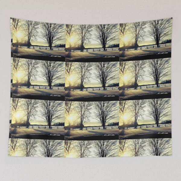 Item preview, Sunshine, Winter sunshine, Sunshine, trees,  designed and sold by PicsByMi.
