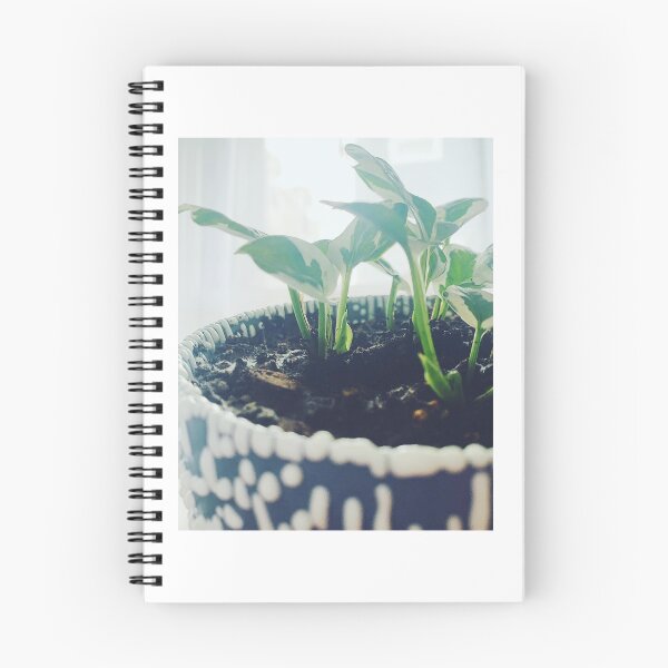 Item preview, N'Joy Pothos 2 designed and sold by grdnstplantmom.