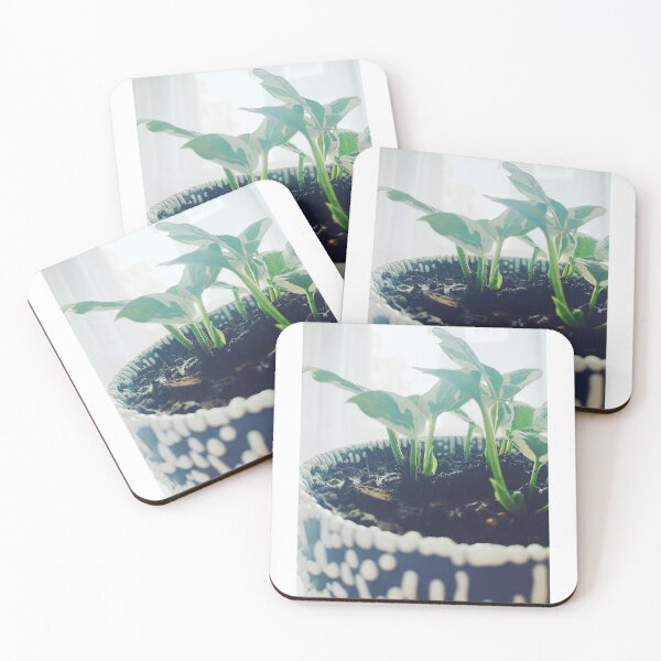 Item preview, N'Joy Pothos 2 designed and sold by grdnstplantmom.