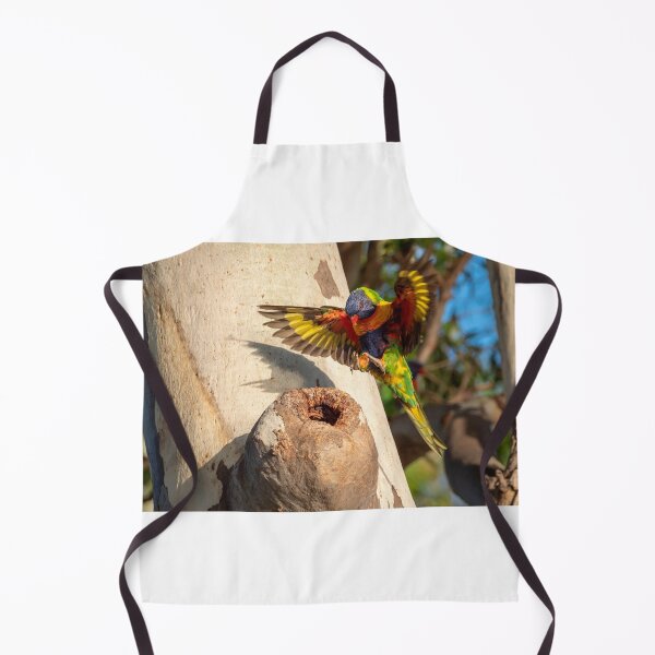 Item preview, Happy Landings - Rainbow Lorikeet, Bribie Island designed and sold by Andrew Goodall.