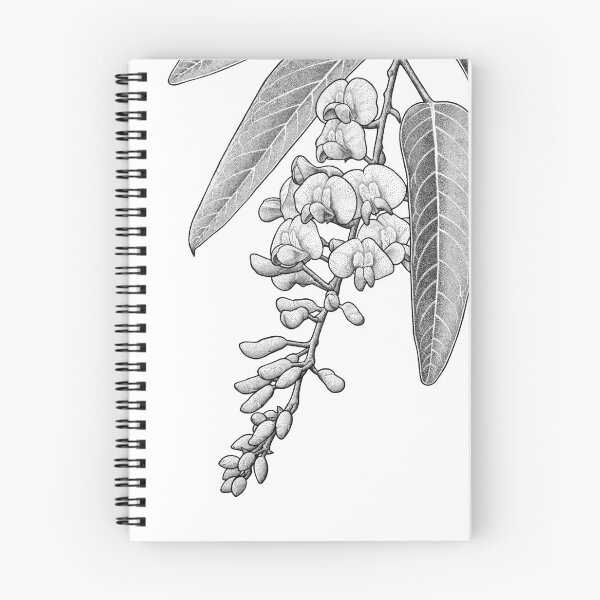 Item preview, Hardenbergia designed and sold by Josh Hilditch.