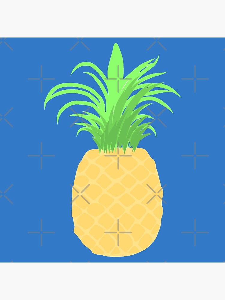 "How I Met Your Mother Pineapple" Poster by niamhconte Redbubble