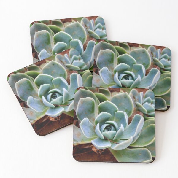 Aperçu de l'œuvre Assez succulent créée et vendue par Lee's Place.