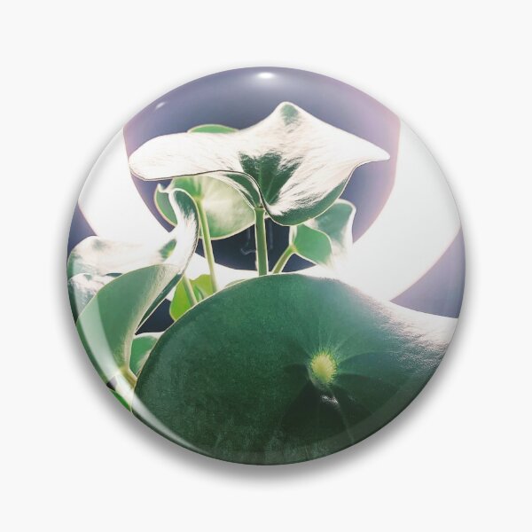 Item preview, Peperomia Raindrop designed and sold by grdnstplantmom.