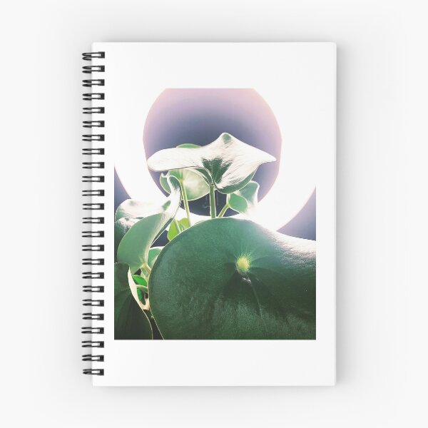 Item preview, Peperomia Raindrop designed and sold by grdnstplantmom.