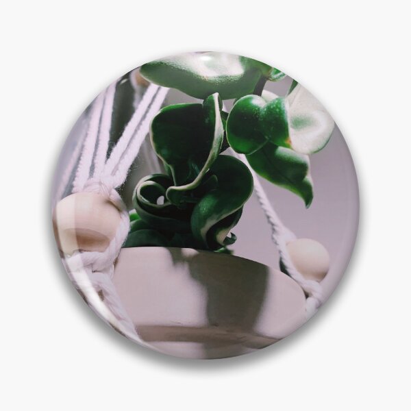 Item preview, Hoya Carnosa Compacta Variegata designed and sold by grdnstplantmom.
