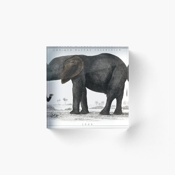 Item preview, ANTIQUE NATURE designed and sold by mjamesno.