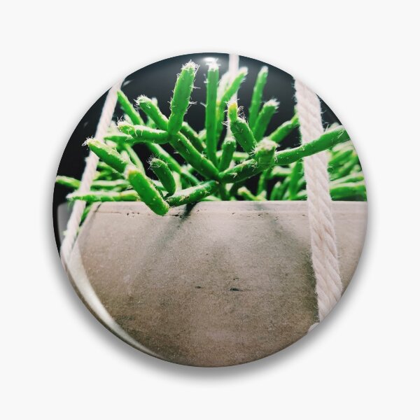 Item preview, Rhipsalis Cactus 2 designed and sold by grdnstplantmom.
