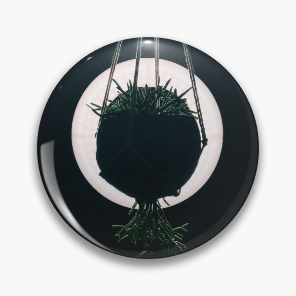 Item preview, Rhipsalis Cactus 3 designed and sold by grdnstplantmom.