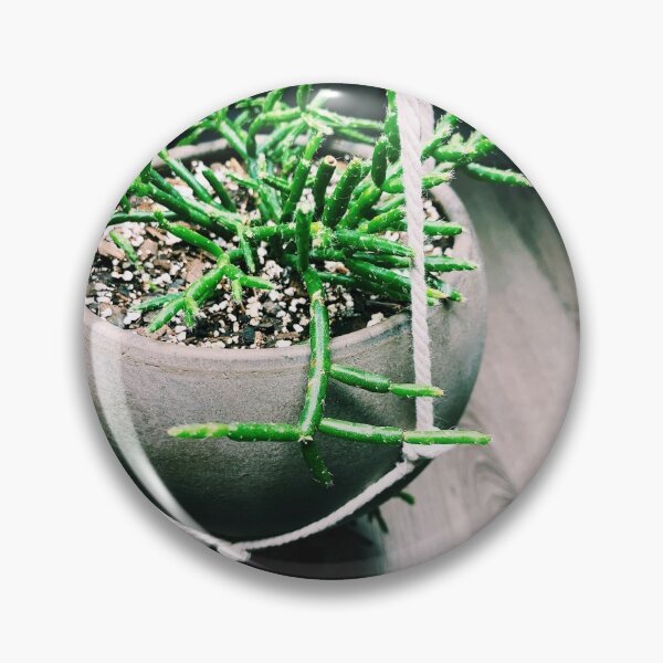 Item preview, Rhipsalis Cactus 4 designed and sold by grdnstplantmom.
