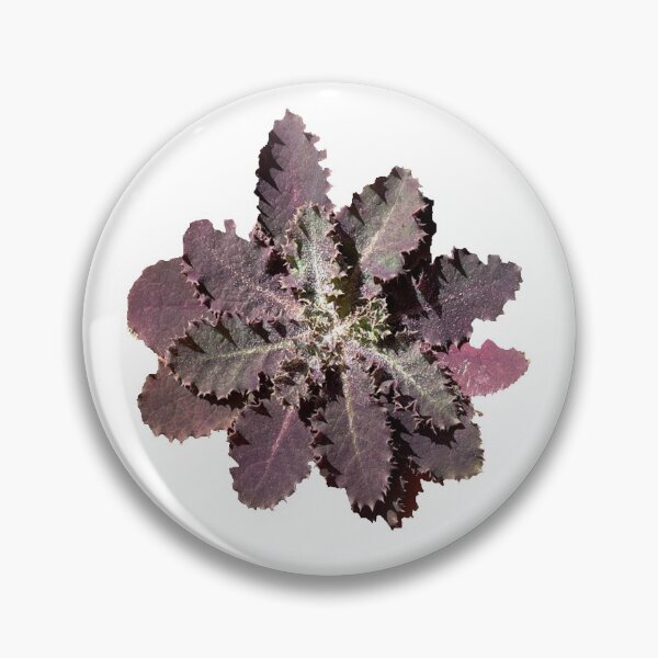 Item preview, purple flower on my porch designed and sold by AgapeStreetwear.