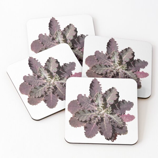 Item preview, purple flower on my porch designed and sold by AgapeStreetwear.