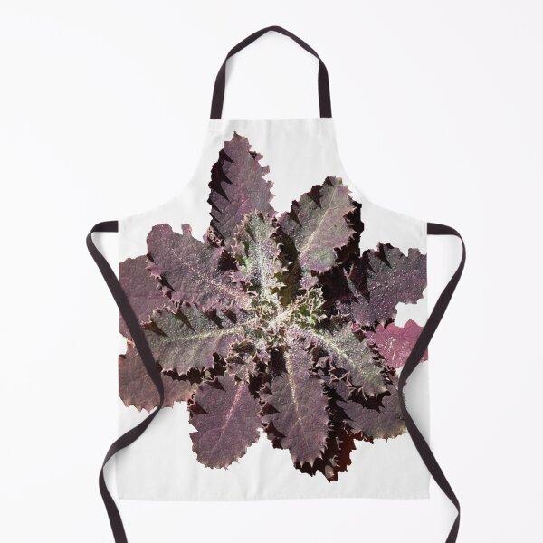 Item preview, purple flower on my porch designed and sold by AgapeStreetwear.