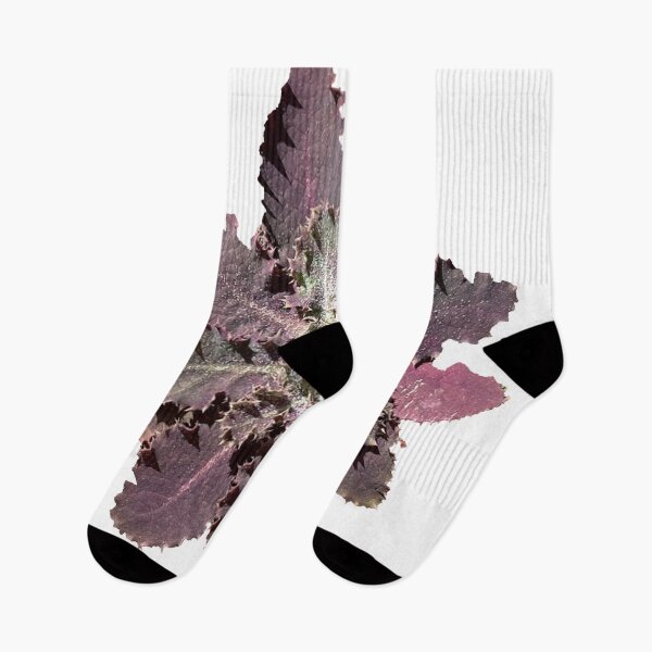Item preview, purple flower on my porch designed and sold by AgapeStreetwear.