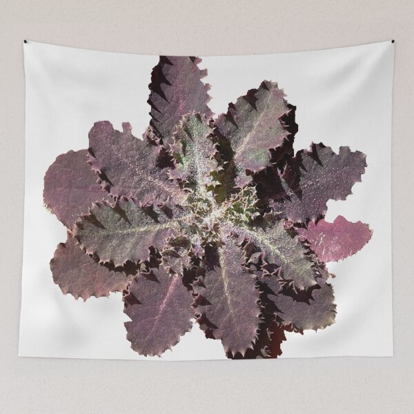 Item preview, purple flower on my porch designed and sold by AgapeStreetwear.