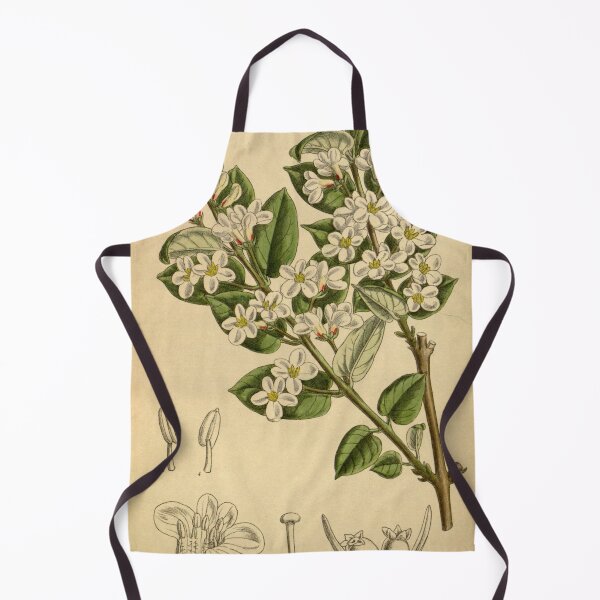 Item preview, Lonicera tatarica 142 8677 designed and sold by EsotericBotanic.