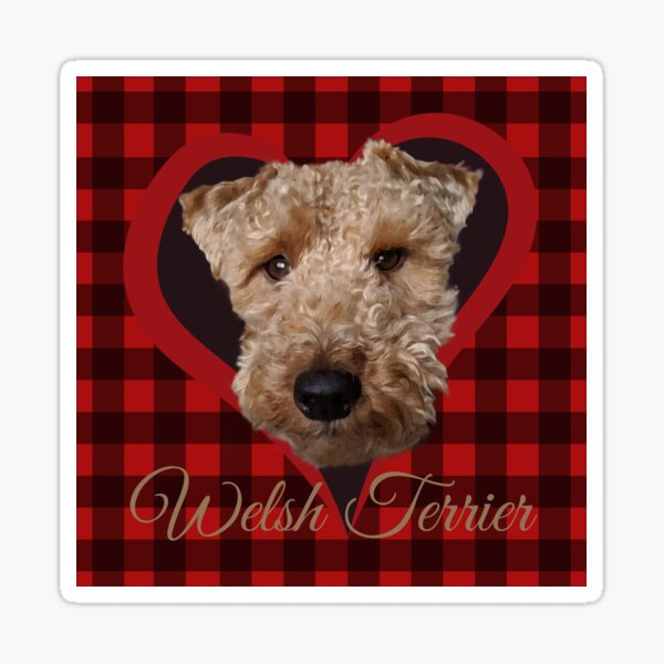 Welsh Terrier in Buffalo Plaid Sticker
