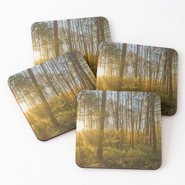 Item preview, Forrest Light, Fontainebleau, France designed and sold by David Mapletoft.