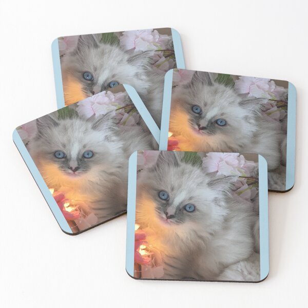 Item preview, Ragdoll kitten designed and sold by Fluffycat2020.