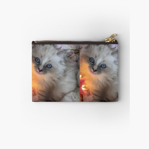 Item preview, Ragdoll kitten designed and sold by Fluffycat2020.