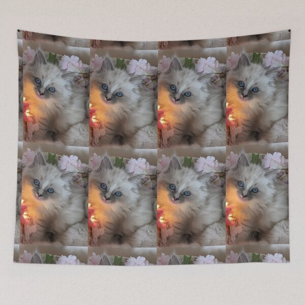 Item preview, Ragdoll kitten designed and sold by Fluffycat2020.