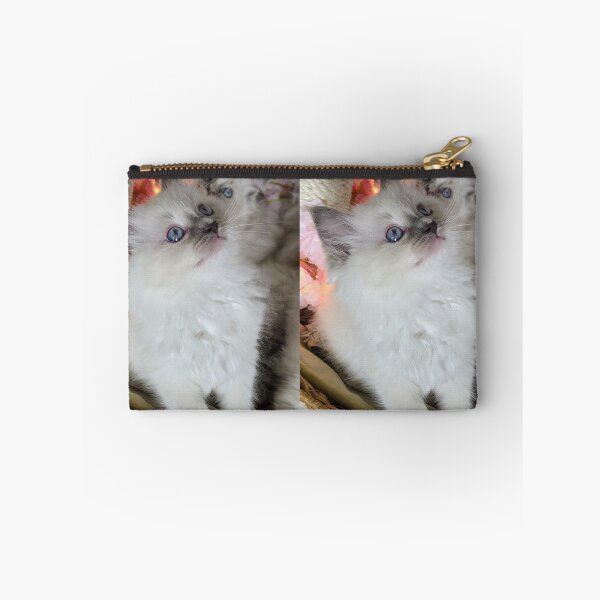 Item preview, Ragdoll kitten designed and sold by Fluffycat2020.