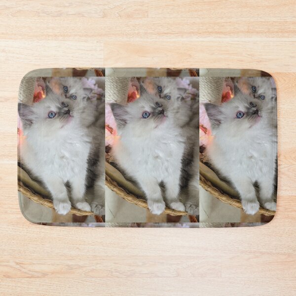 Item preview, Ragdoll kitten designed and sold by Fluffycat2020.