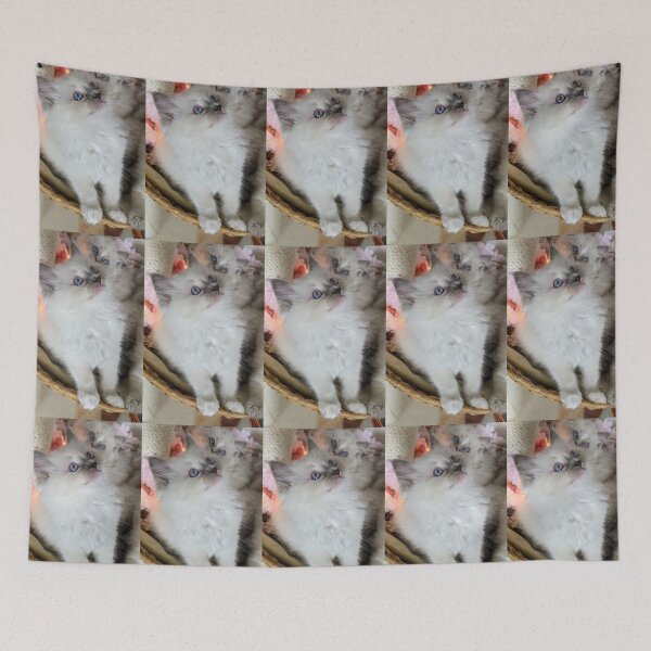 Item preview, Ragdoll kitten designed and sold by Fluffycat2020.