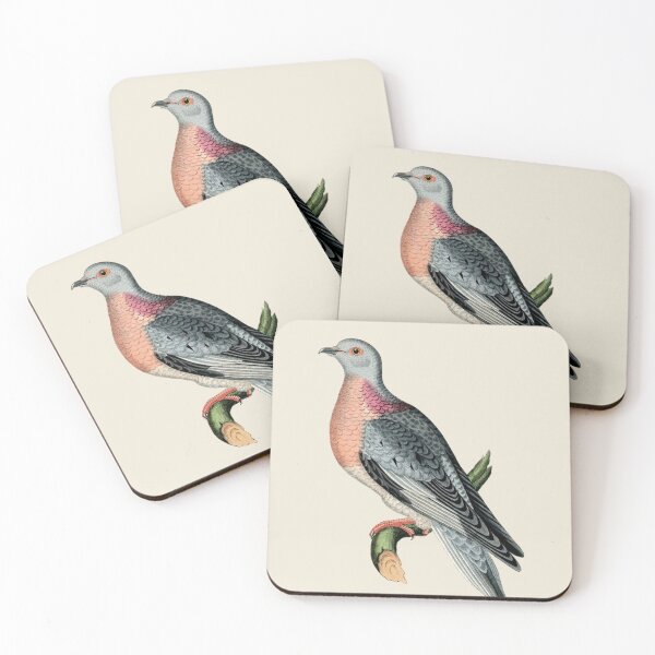 Item preview, Pigeon Antique Naturalist Illustration designed and sold by Antiquated Art.