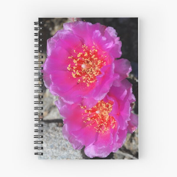 Item preview, Pink Cactus Flower designed and sold by Egb11.