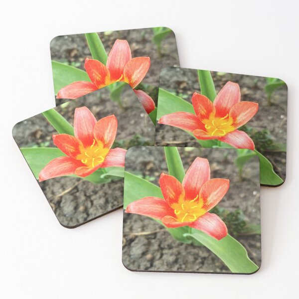 Item preview, Red beautiful tiger lily in full blossom, natural background  designed and sold by helenkaiy.