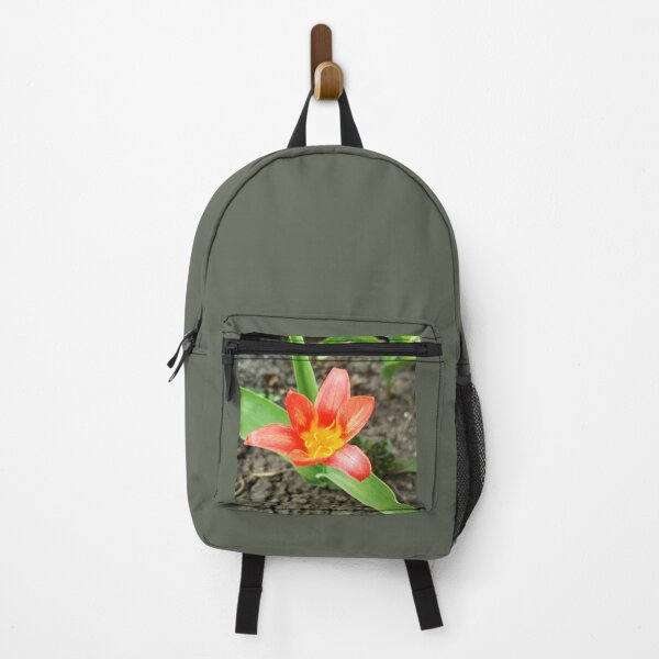 Item preview, Red beautiful tiger lily in full blossom, natural background  designed and sold by helenkaiy.