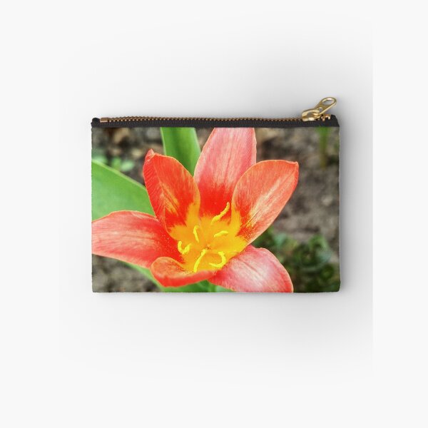 Item preview, Red beautiful tiger lily in full blossom, natural background  designed and sold by helenkaiy.