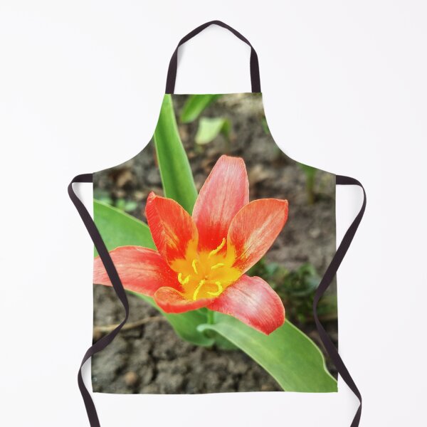 Item preview, Red beautiful tiger lily in full blossom, natural background  designed and sold by helenkaiy.
