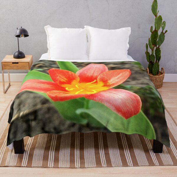 Item preview, Red beautiful tiger lily in full blossom, natural background designed and sold by helenkaiy.