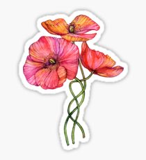 Peach & Pink Poppy Tangle Sticker
