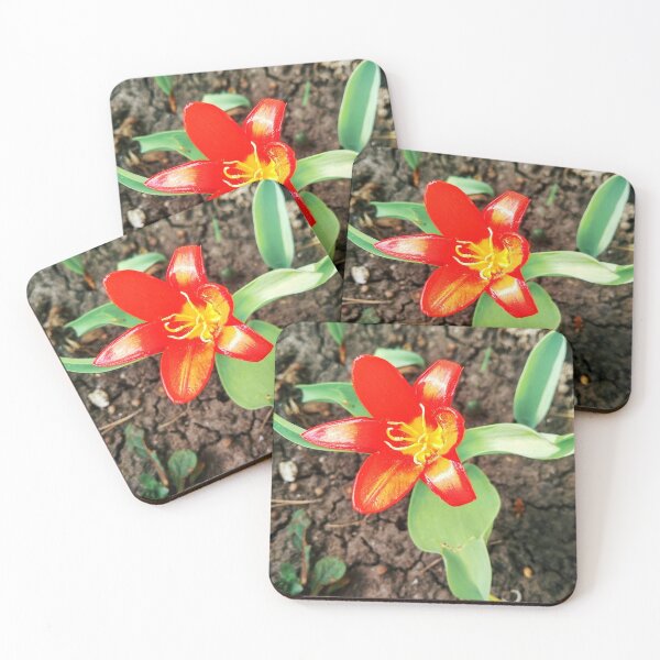 Item preview, Red beautiful tiger lily in full blossom, natural background  designed and sold by helenkaiy.