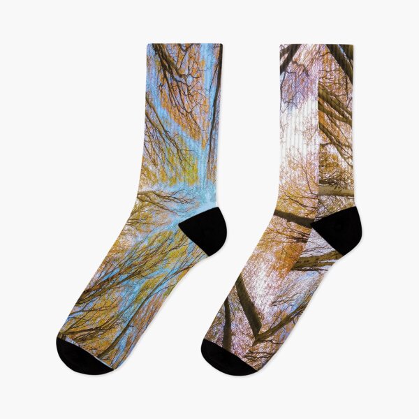 Item preview,  Trees-Tree Canopy designed and sold by DigitalNobleman.