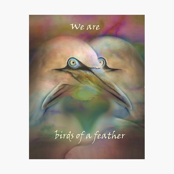 Item preview, Birds of a Feather  designed and sold by 88 Jane.