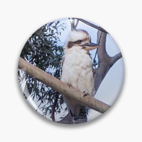 Item preview, Kookaburra in a Gum Tree. designed and sold by Margaret Stevens.