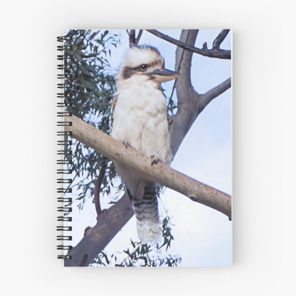 Item preview, Kookaburra in a Gum Tree. designed and sold by Margaret Stevens.