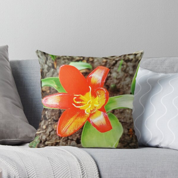 Item preview, Red beautiful tiger lily in full blossom, natural background  designed and sold by helenkaiy.